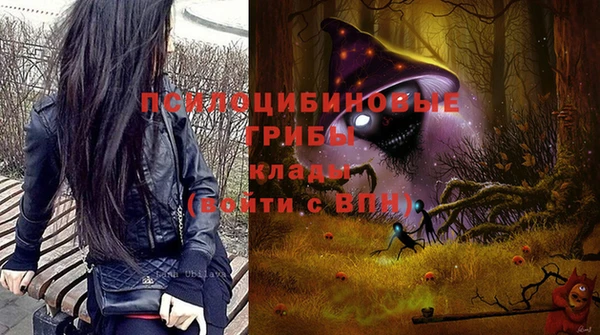 метамфетамин Белокуриха