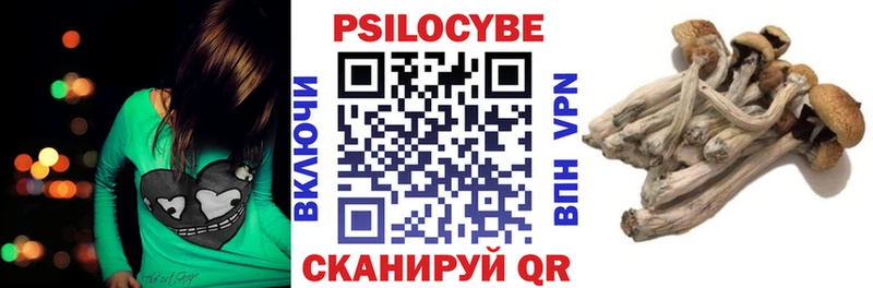 Галлюциногенные грибы MAGIC MUSHROOMS  хочу   Электросталь 